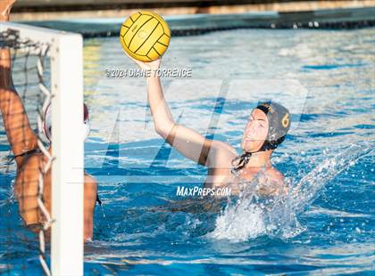 Thumbnail 1 in Canyon @ Foothill photogallery.