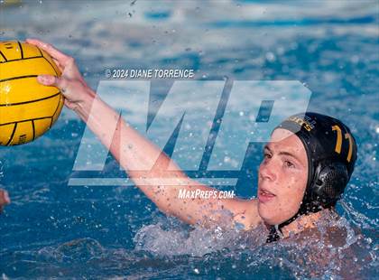 Thumbnail 1 in Canyon @ Foothill photogallery.