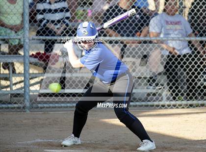 Thumbnail 1 in El Camino Real @ Alemany photogallery.