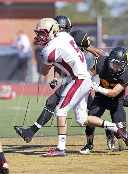 Thumbnail 1 in Cardinal Newman @ Novato photogallery.