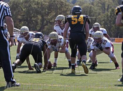 Thumbnail 2 in Cardinal Newman @ Novato photogallery.