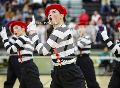 Thumbnail 3 in Roy Royalaires photogallery.