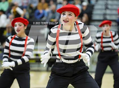 Thumbnail 3 in Roy Royalaires photogallery.