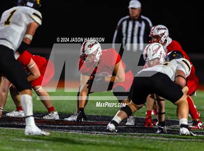 Thumbnail 3 in Chico @ Muenster photogallery.