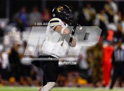 Thumbnail 1 in Chico @ Muenster photogallery.