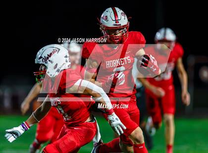 Thumbnail 3 in Chico @ Muenster photogallery.