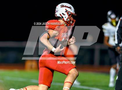 Thumbnail 1 in Chico @ Muenster photogallery.