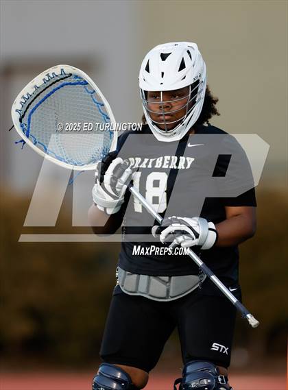 Thumbnail 1 in Sprayberry @ Lassiter photogallery.