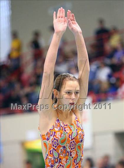 Thumbnail 1 in NYSPHSAA Swimming and Diving Championship (Open) photogallery.