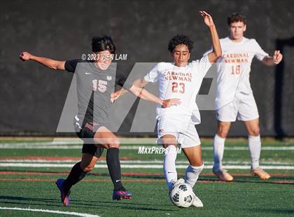 Thumbnail 2 in Cardinal Newman @ Marin Academy photogallery.