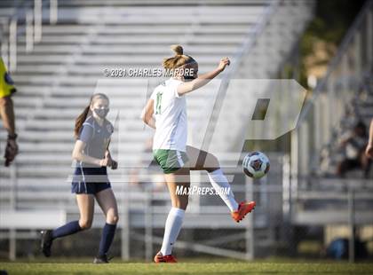 Thumbnail 2 in Pine Forest @ Cape Fear photogallery.