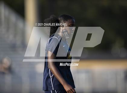 Thumbnail 3 in Pine Forest @ Cape Fear photogallery.