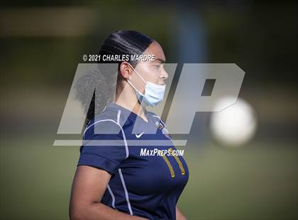 Thumbnail 1 in Pine Forest @ Cape Fear photogallery.