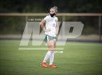 Photo from the gallery "Pine Forest @ Cape Fear"