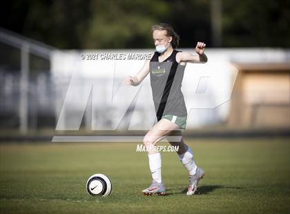 Thumbnail 3 in Pine Forest @ Cape Fear photogallery.