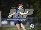 Photo from the gallery "Pine Forest @ Cape Fear"