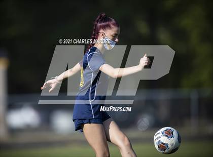 Thumbnail 2 in Pine Forest @ Cape Fear photogallery.