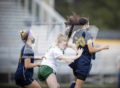 Thumbnail 3 in Pine Forest @ Cape Fear photogallery.