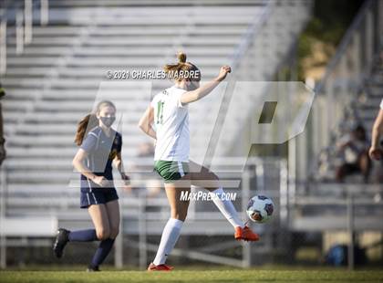 Thumbnail 3 in Pine Forest @ Cape Fear photogallery.