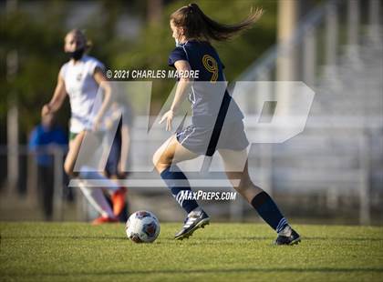 Thumbnail 3 in Pine Forest @ Cape Fear photogallery.
