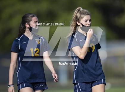 Thumbnail 2 in Pine Forest @ Cape Fear photogallery.