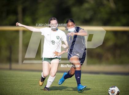 Thumbnail 2 in Pine Forest @ Cape Fear photogallery.