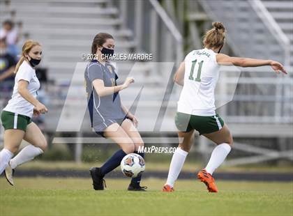 Thumbnail 3 in Pine Forest @ Cape Fear photogallery.