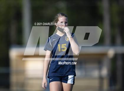 Thumbnail 1 in Pine Forest @ Cape Fear photogallery.