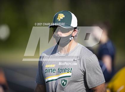 Thumbnail 2 in Pine Forest @ Cape Fear photogallery.