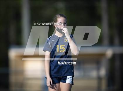 Thumbnail 3 in Pine Forest @ Cape Fear photogallery.