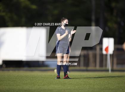 Thumbnail 1 in Pine Forest @ Cape Fear photogallery.