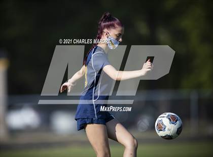 Thumbnail 1 in Pine Forest @ Cape Fear photogallery.