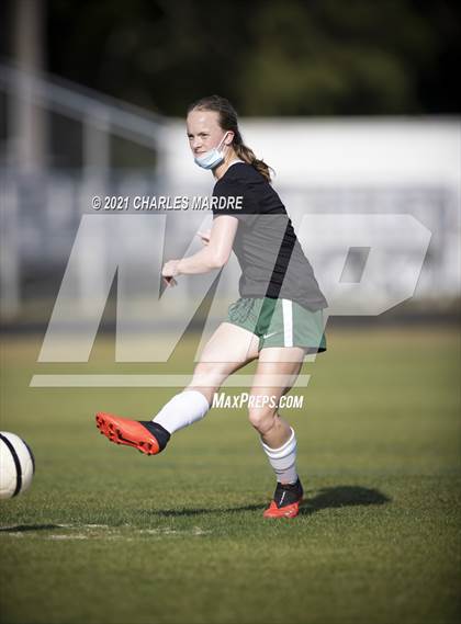 Thumbnail 2 in Pine Forest @ Cape Fear photogallery.