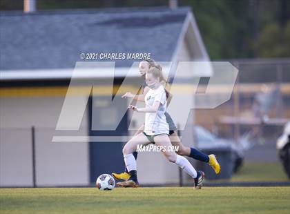 Thumbnail 3 in Pine Forest @ Cape Fear photogallery.