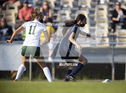 Thumbnail 1 in Pine Forest @ Cape Fear photogallery.