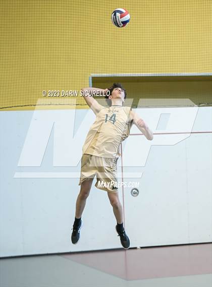 Thumbnail 2 in Skyline vs Paradise Honors (Epic Tourneys Volleyball Invite)  photogallery.