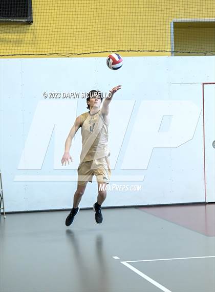Thumbnail 1 in Skyline vs Paradise Honors (Epic Tourneys Volleyball Invite)  photogallery.