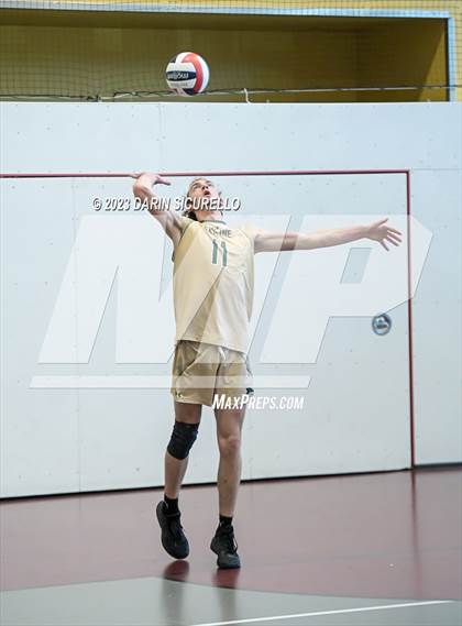 Thumbnail 1 in Skyline vs Paradise Honors (Epic Tourneys Volleyball Invite)  photogallery.