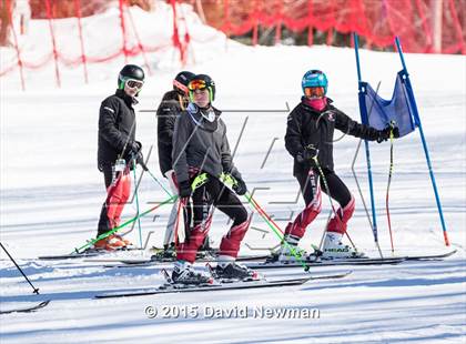 Thumbnail 1 in Berkshire Ski League GS Championship photogallery.