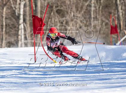 Thumbnail 1 in Berkshire Ski League GS Championship photogallery.