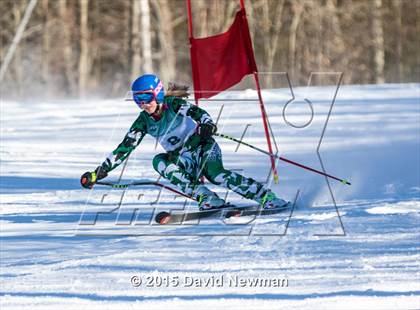 Thumbnail 1 in Berkshire Ski League GS Championship photogallery.