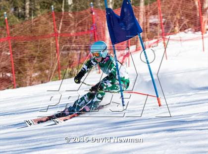 Thumbnail 2 in Berkshire Ski League GS Championship photogallery.