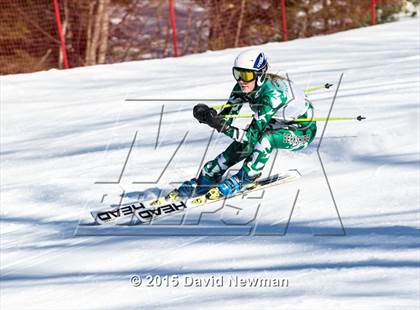 Thumbnail 1 in Berkshire Ski League GS Championship photogallery.