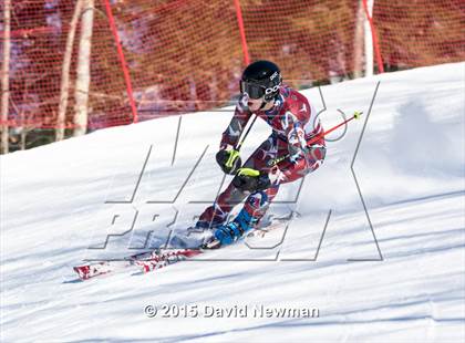 Thumbnail 1 in Berkshire Ski League GS Championship photogallery.