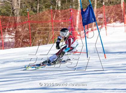 Thumbnail 2 in Berkshire Ski League GS Championship photogallery.