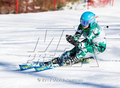 Thumbnail 1 in Berkshire Ski League GS Championship photogallery.