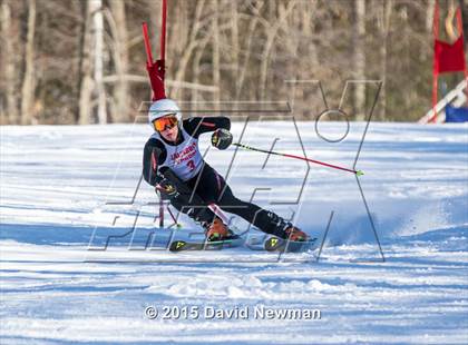 Thumbnail 2 in Berkshire Ski League GS Championship photogallery.