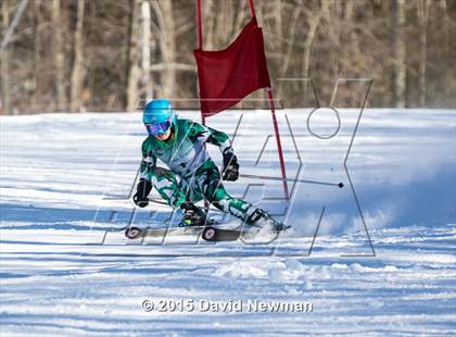 Thumbnail 3 in Berkshire Ski League GS Championship photogallery.