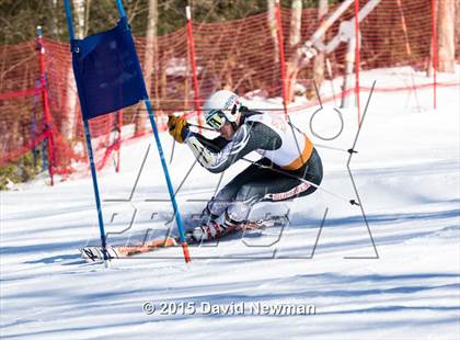 Thumbnail 1 in Berkshire Ski League GS Championship photogallery.