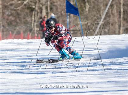 Thumbnail 2 in Berkshire Ski League GS Championship photogallery.